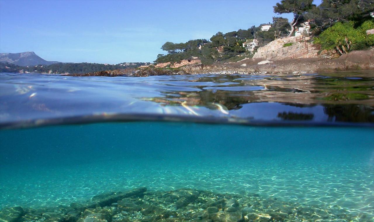 Magnifique Petit Cocon Bord De Mer Le Pradet Exterior photo